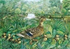Ducks and Ducklings Wooden Puzzle