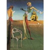 Woman with a Head of Roses - Dali
